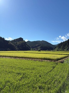 田園風景