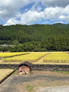 実りの秋