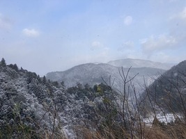 吹雪いてます