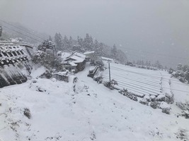 寒そうです