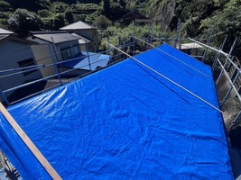 ブルーシート養生