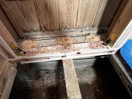 既存土台に固定