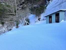 かなりの積雪