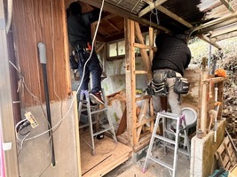 ごった返し