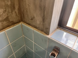 浴室壁完成