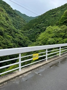 止呂橋