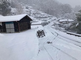 銀世界