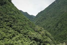 大川村大北川