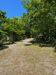 太郎川公園