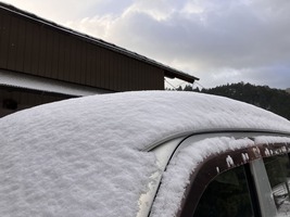 積雪
