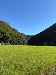 青空