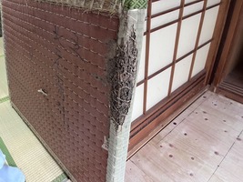 白蟻被害