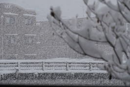 大雪です