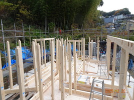 柱建て