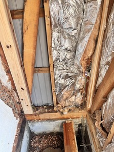 基礎補強鉄筋・型枠