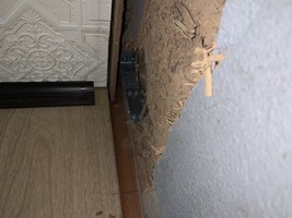 柱頭金物