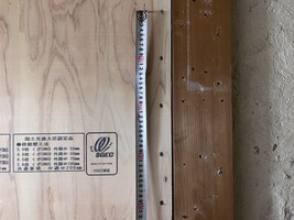 ビスピッチ