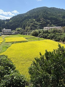 実りの秋