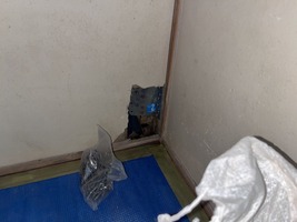 筋違金物