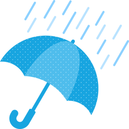 雨