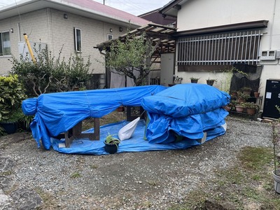 台風養生