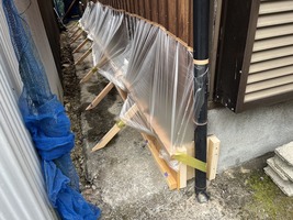 雨養生