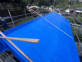 雨養生完了