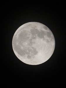 昨夜の満月