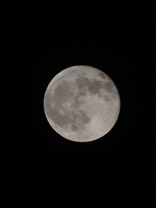 昨夜の満月