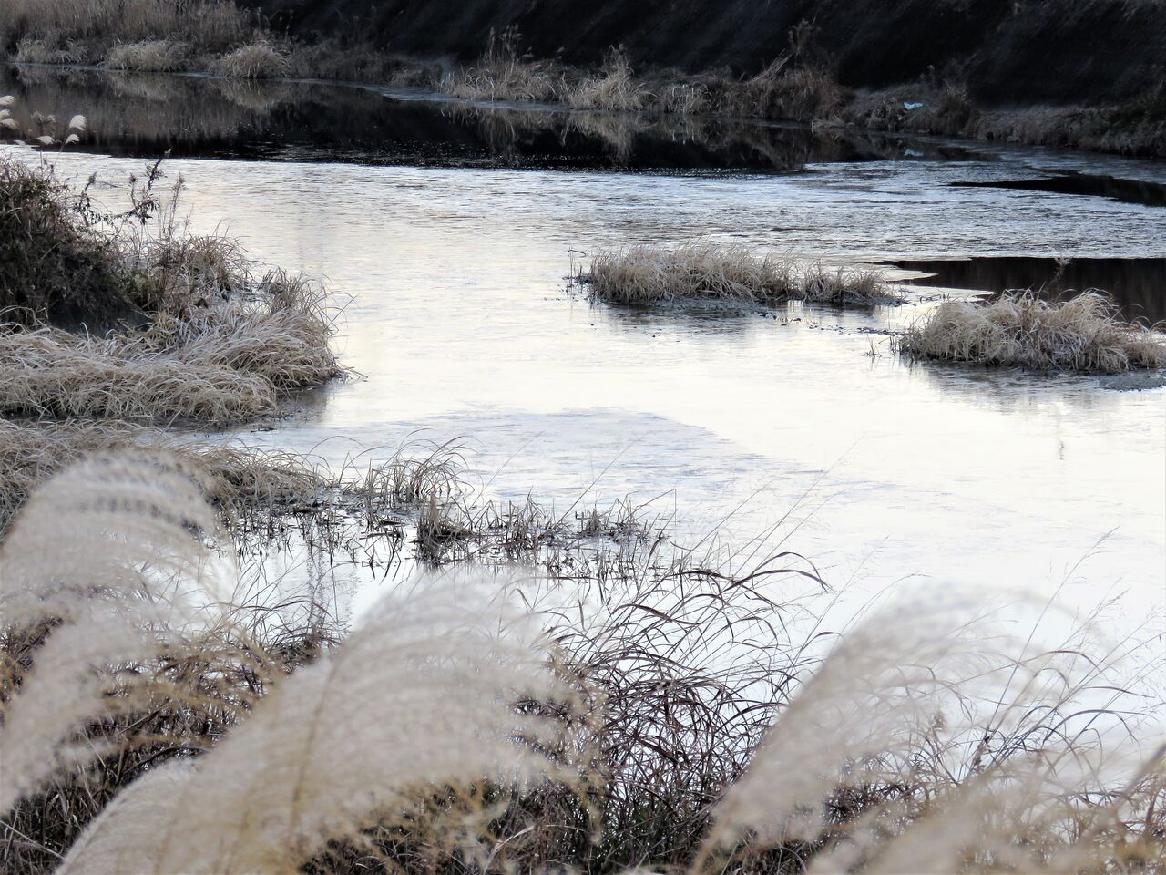 川も岩清水も凍りつく高知は極寒の一日 土佐料理 旬の鰹がゆく