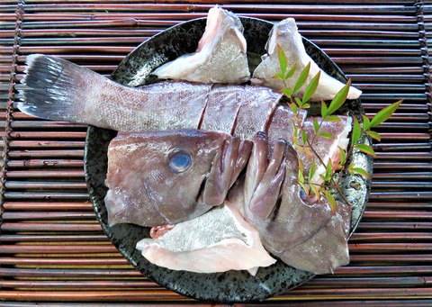 マハタ鍋 (1)