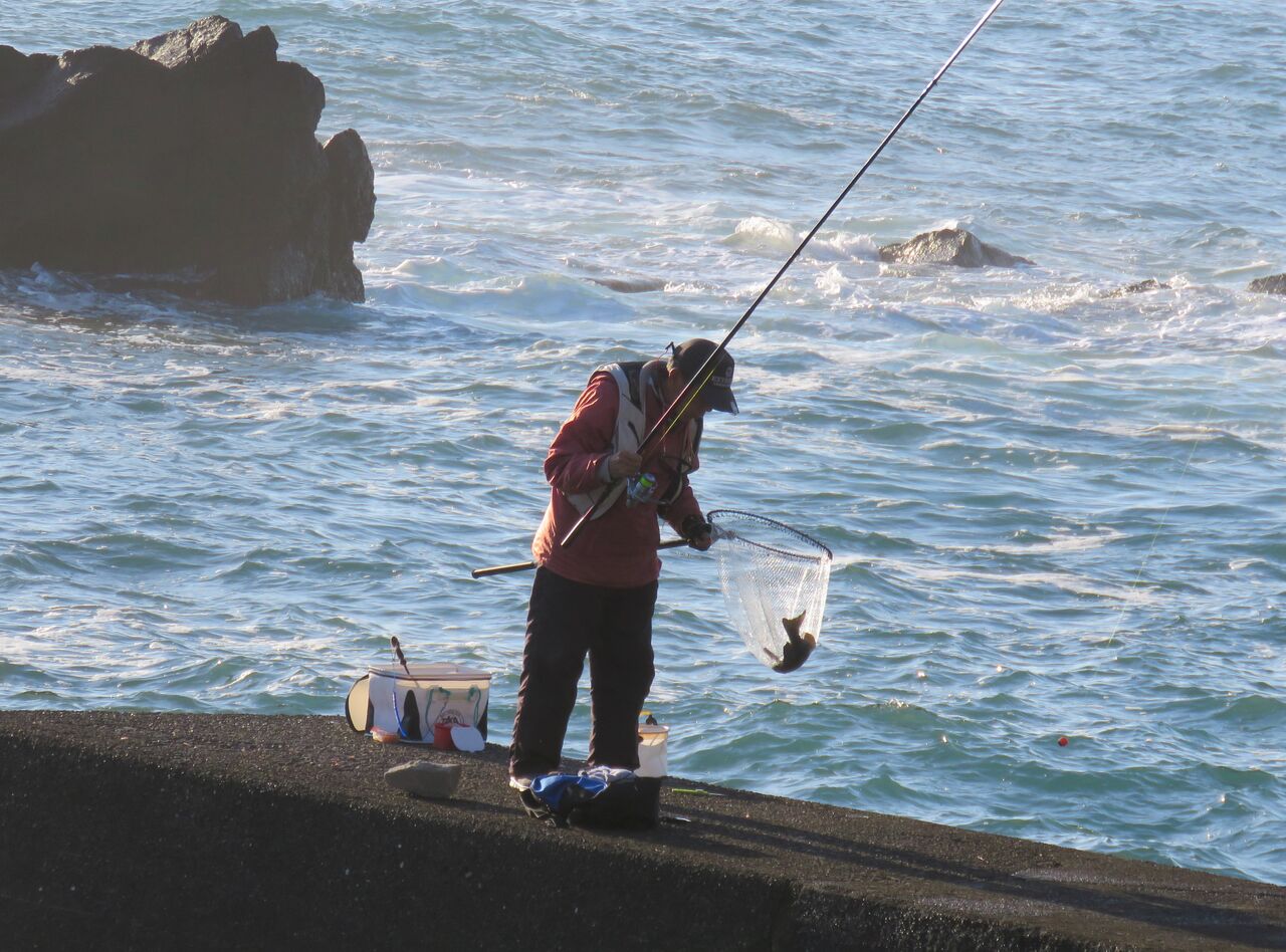高知の釣り 土佐料理 旬の鰹がゆく