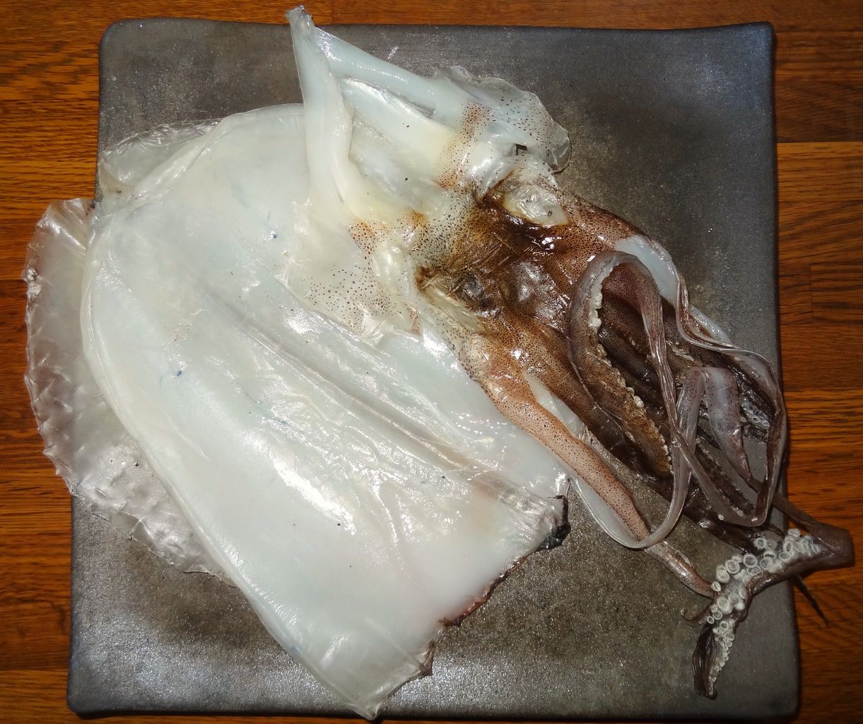 アオリイカ 土佐料理 旬の鰹がゆく アオリイカ 土佐料理 旬の鰹がゆく