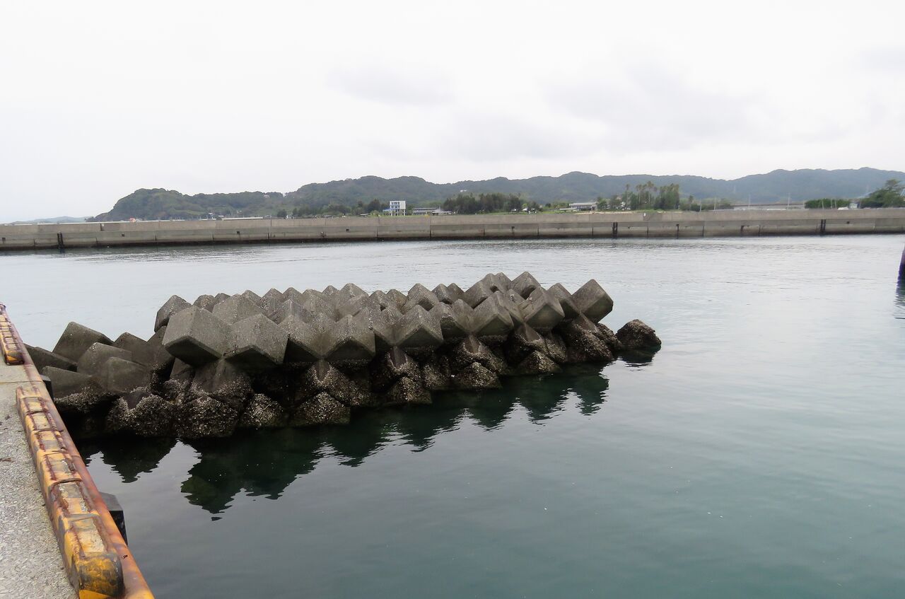 秋の消波ブロックに集う美しい魚たち 土佐料理 旬の鰹がゆく