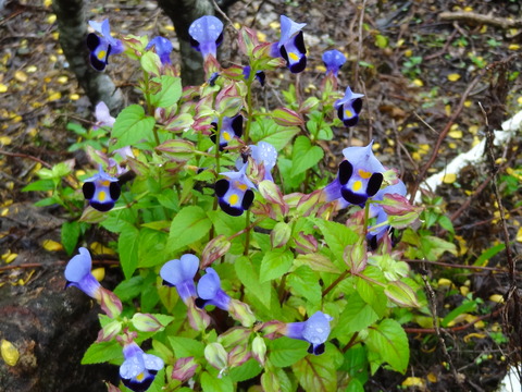 DSC00192