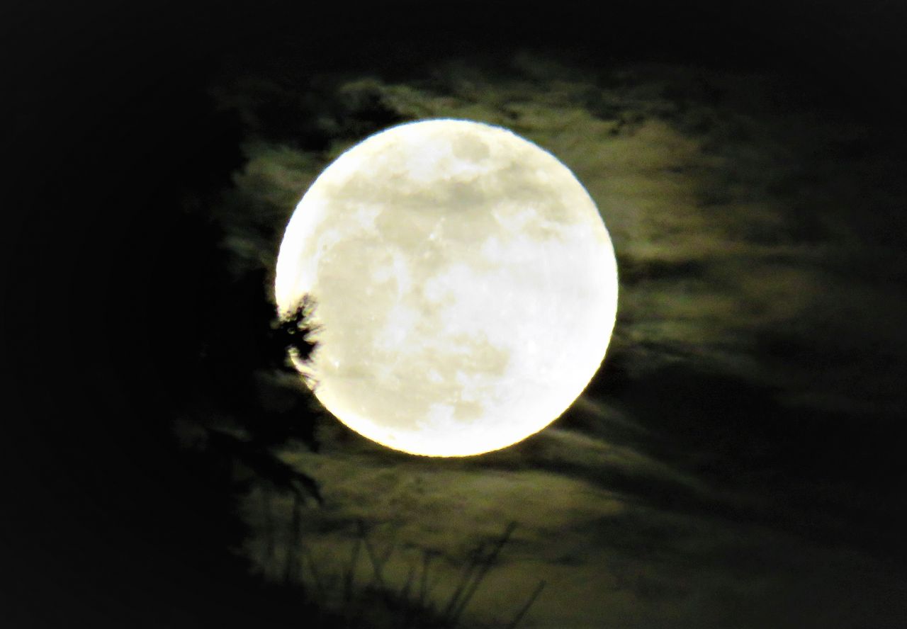 太陽と地球と月の三重奏 土佐料理 旬の鰹がゆく