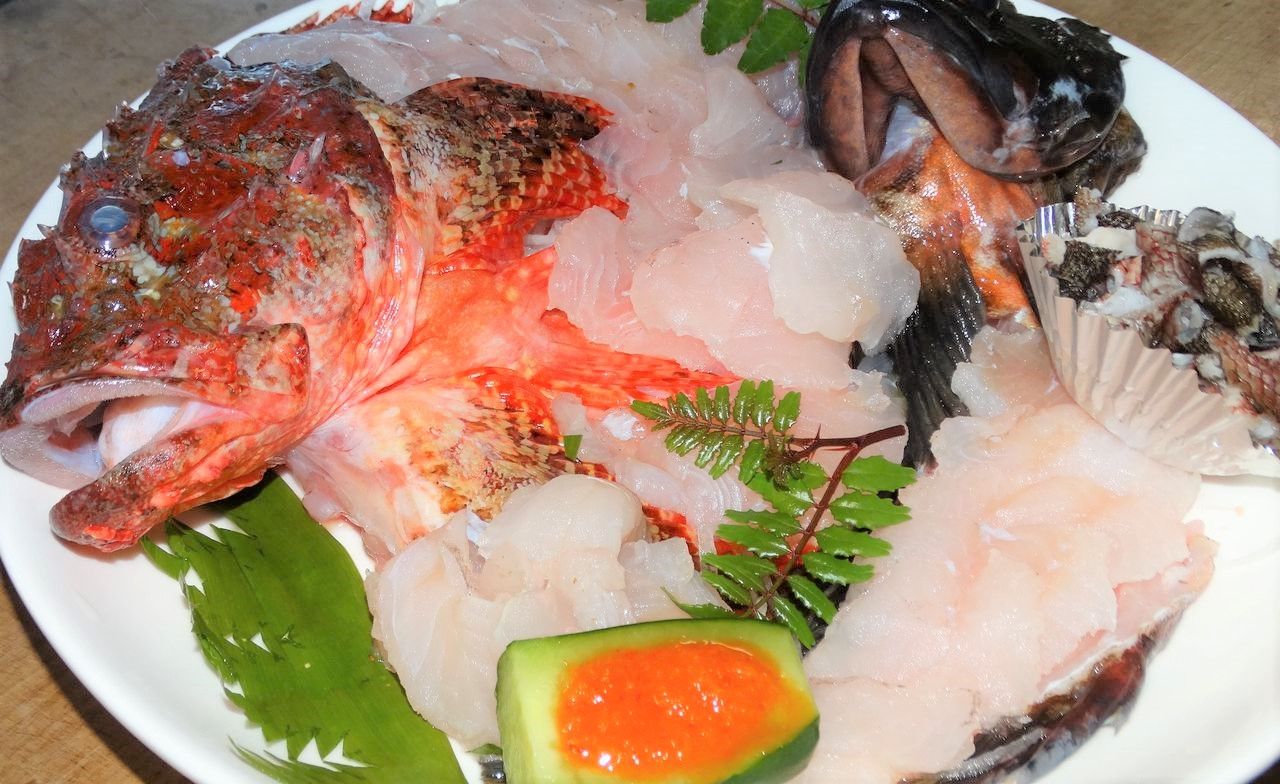 高知の食材 海産物 水産資源 土佐料理 旬の鰹がゆく