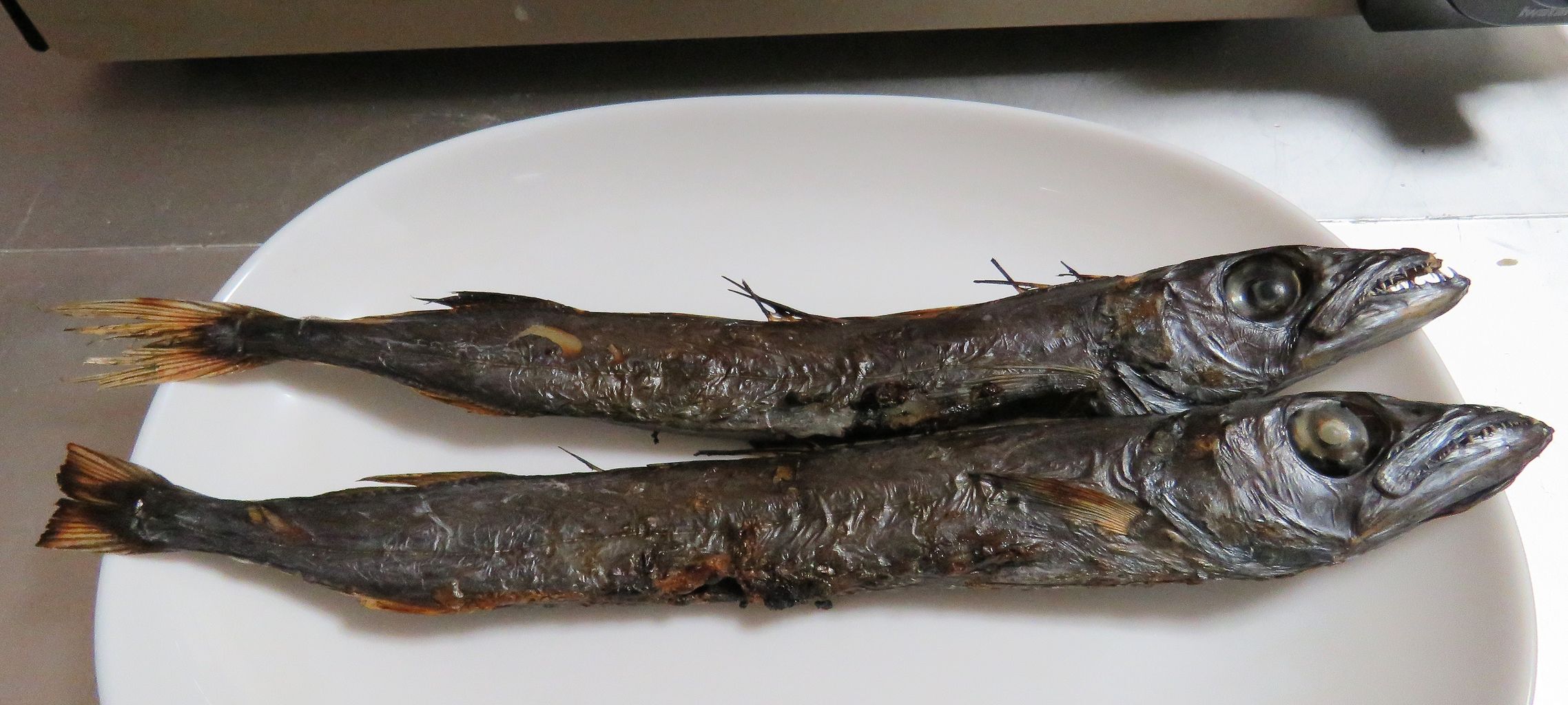 クロシビカマスの干物 土佐料理 旬の鰹がゆく クロシビカマスの干物 土佐料理 旬の鰹がゆく