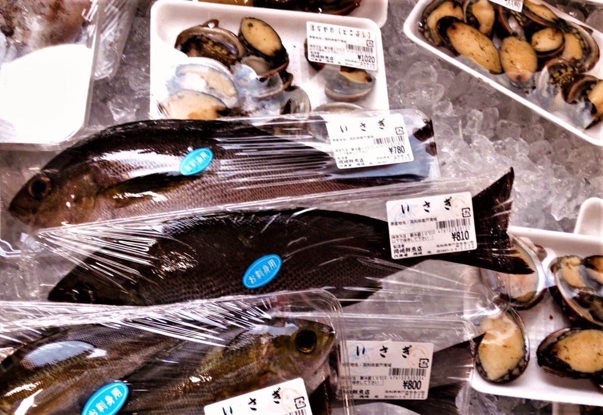 里海の大脱走 土佐料理 旬の鰹がゆく 里海の大脱走 土佐料理 旬の鰹がゆく