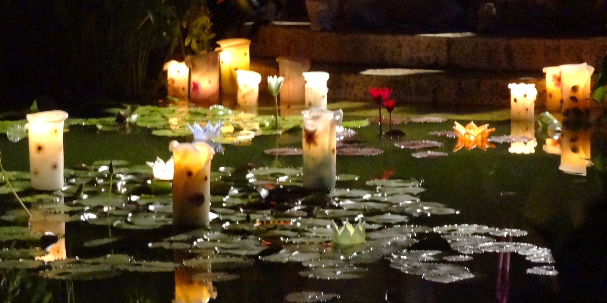モネの庭 夜の睡蓮池 土佐料理 旬の鰹がゆく