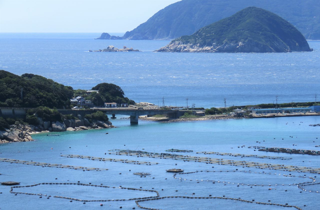 大月町 柏島 土佐料理 旬の鰹がゆく