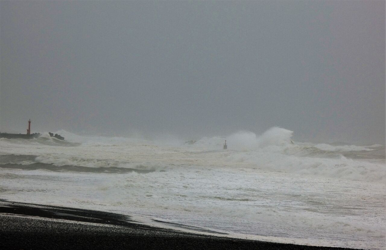 台風が咲かせた波の花 土佐料理 旬の鰹がゆく