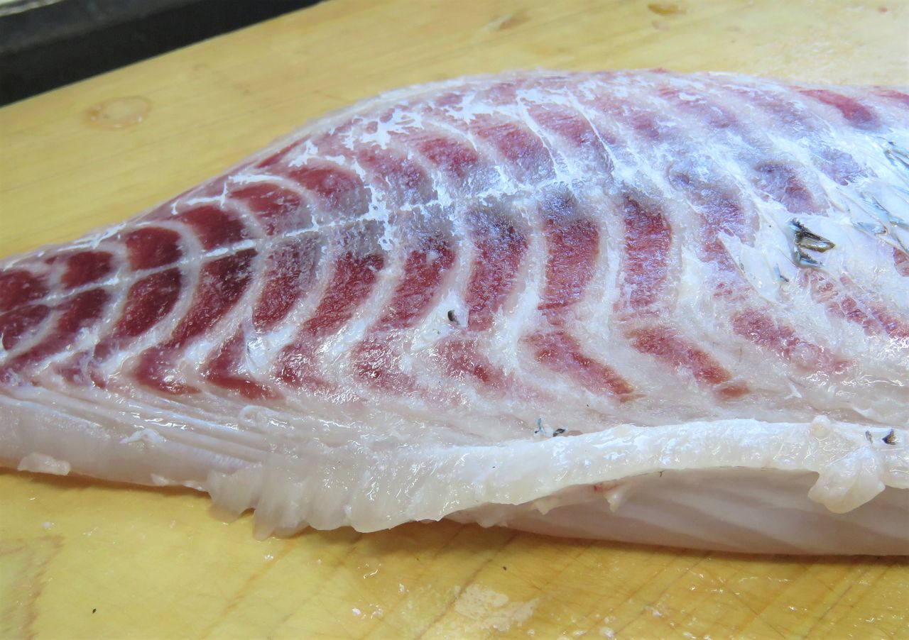 浜笛吹 ハマフエフキ 土佐料理 旬の鰹がゆく 浜笛吹 ハマフエフキ 土佐料理 旬の鰹がゆく