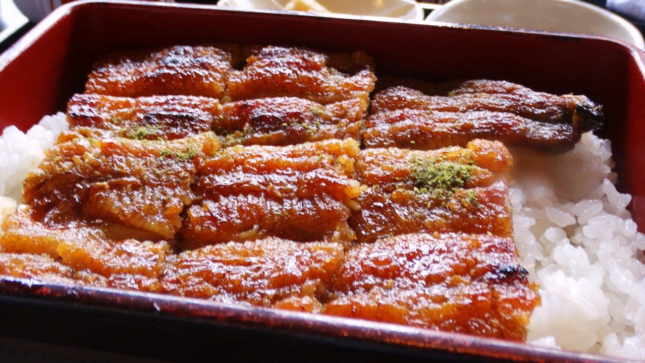 うなぎ処福 土佐料理 旬の鰹がゆく