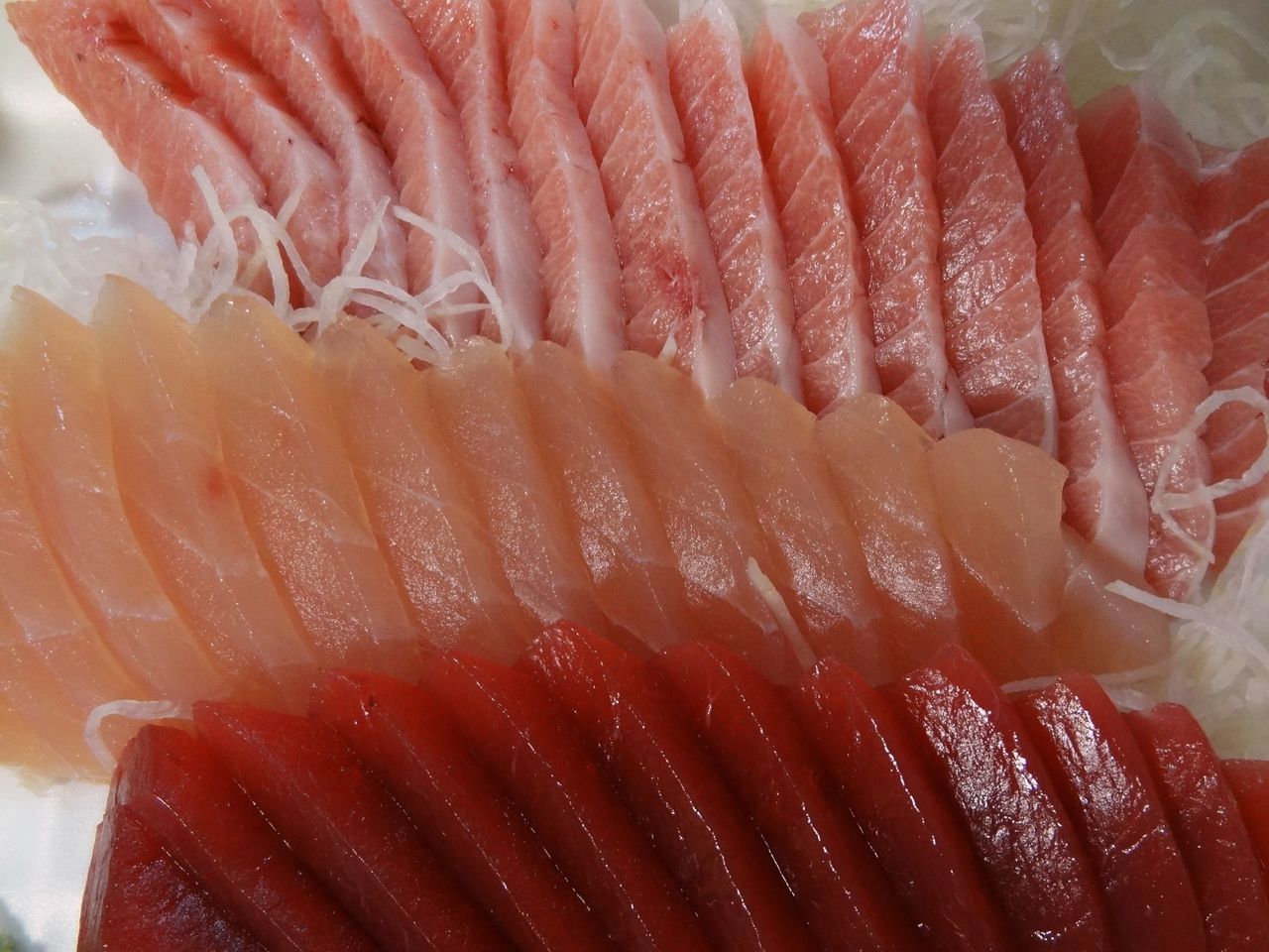 冬の近海キハダマグロ 土佐料理 旬の鰹がゆく 冬の近海キハダマグロ 土佐料理 旬の鰹がゆく