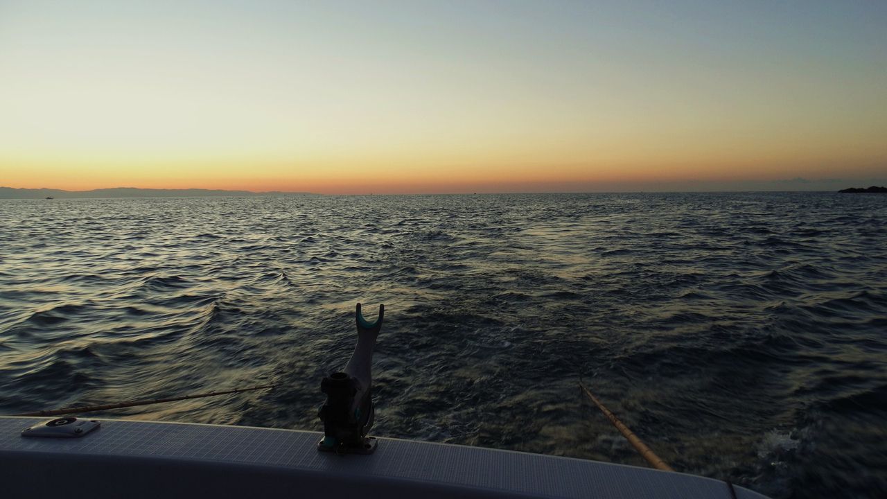 メジカの新子漁 土佐料理 旬の鰹がゆく