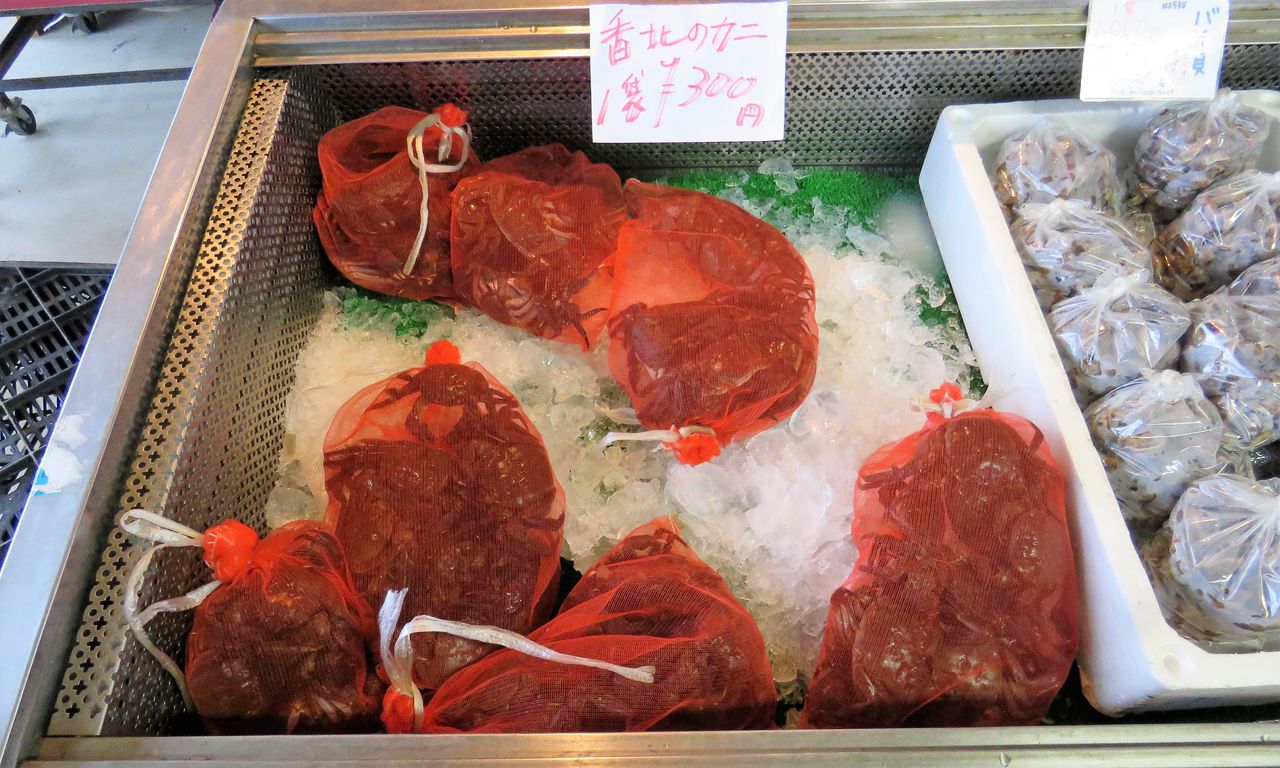 高知の食材 海産物 水産資源 土佐料理 旬の鰹がゆく 高知の食材 海産物 水産資源 土佐料理 旬の鰹がゆく