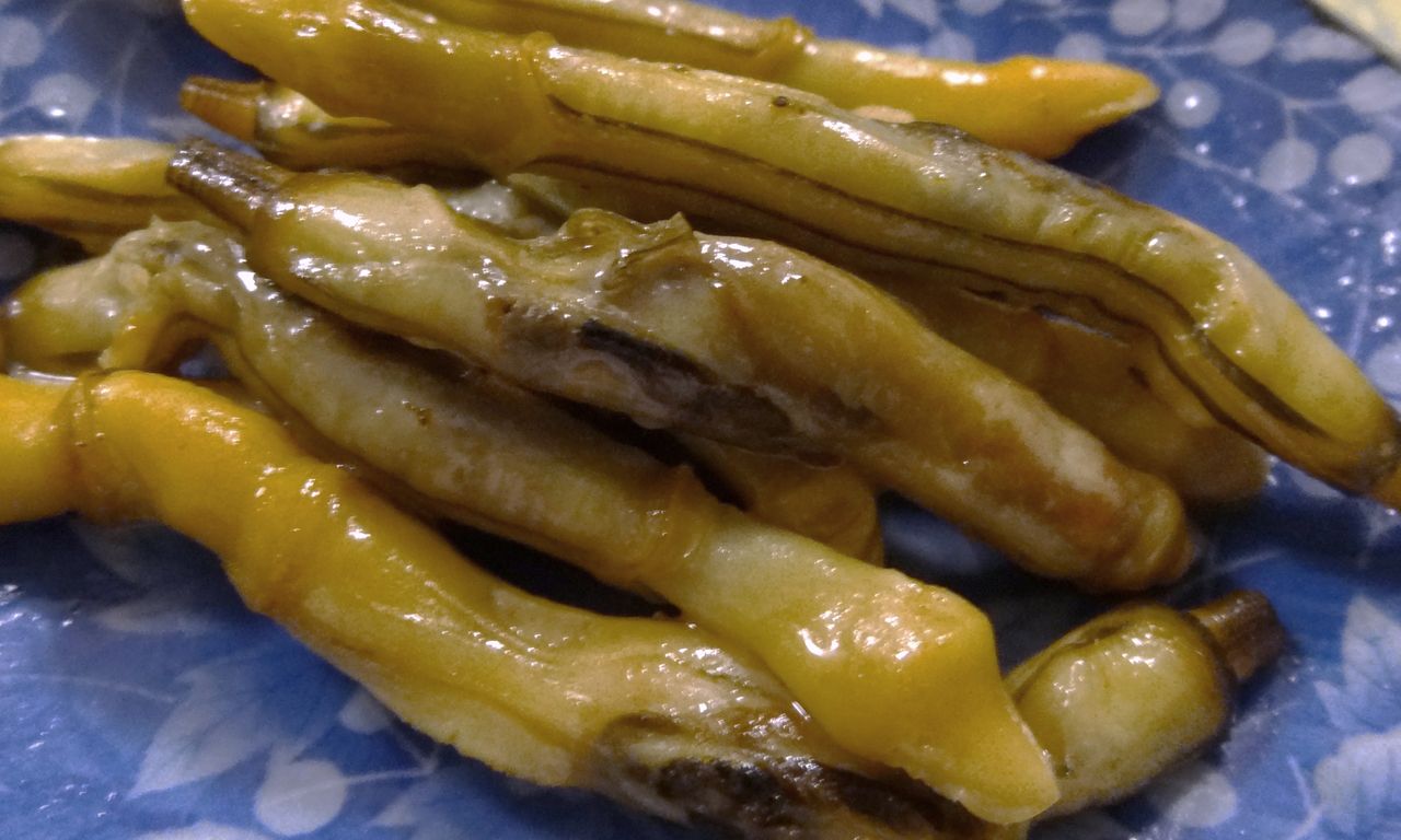 マテガイ 土佐料理 旬の鰹がゆく マテガイ 土佐料理 旬の鰹がゆく