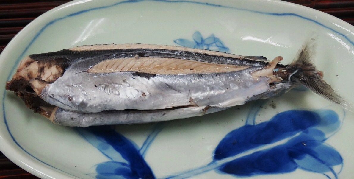 メジカの新子漁 土佐料理 旬の鰹がゆく