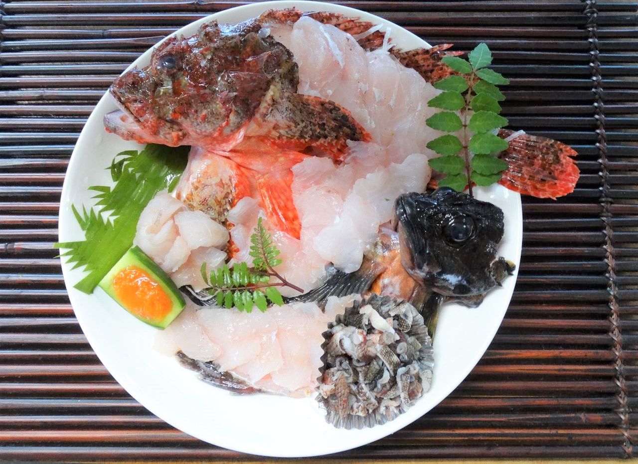 小暑の旬魚オコゼ 土佐料理 旬の鰹がゆく